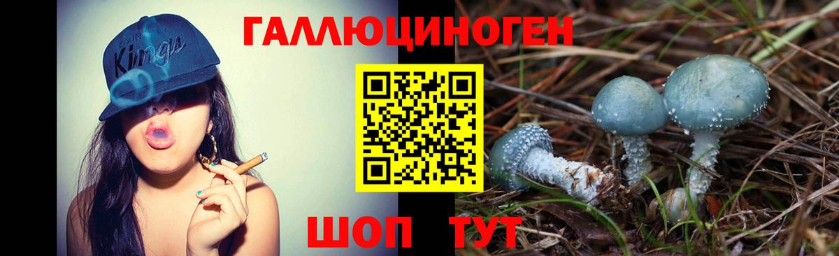 Галлюциногенные грибы GOLDEN TEACHER Карпинск